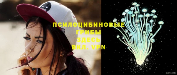 мяу мяу мука Валуйки