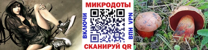 Псилоцибиновые грибы Magic Shrooms  KRAKEN зеркало  Ельня  хочу наркоту 